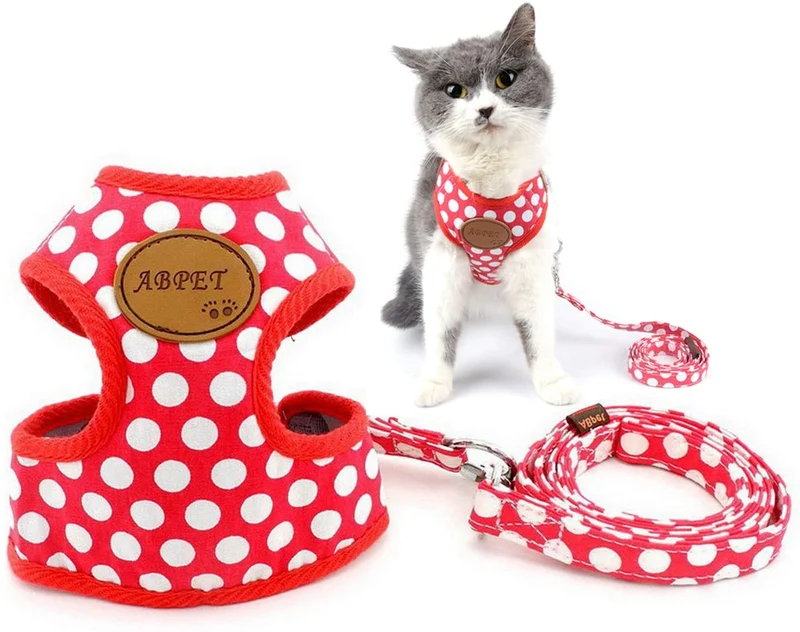 Ranphy - Arnés, sin tirar, acolchado, chaleco y correa para pasear con arnés de entrenamiento para niños y niñas, malla ajustable para gatos
