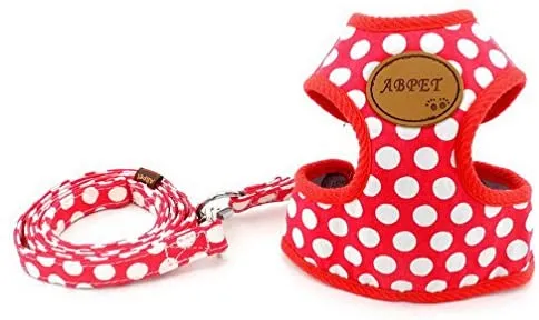 Ranphy - Arnés, sin tirar, acolchado, chaleco y correa para pasear con arnés de entrenamiento para niños y niñas, malla ajustable para gatos