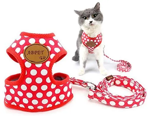 Ranphy - Arnés, sin tirar, acolchado, chaleco y correa para pasear con arnés de entrenamiento para niños y niñas, malla ajustable para gatos