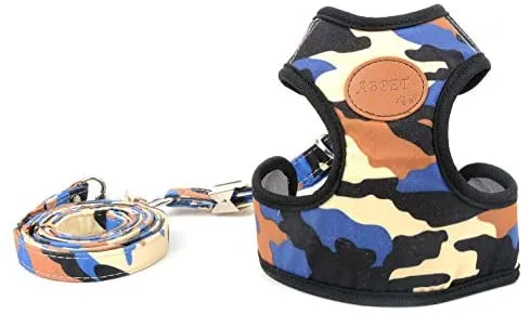 Ranphy - Arnés, sin tirar, acolchado, chaleco y correa para pasear con arnés de entrenamiento para niños y niñas, malla ajustable para gatos