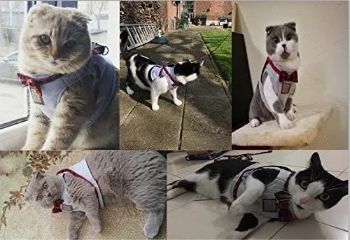 Cat Harness and Leash Set, Leash Adjustable Comfortable Soft Harness Jacket Vest, for Cats Puppy Safety Walk/Run