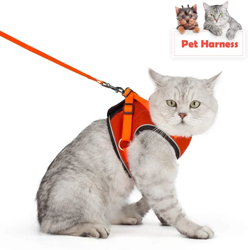 Arnés ajustable para mascotas, gato, gato, gato, gatito, arnés para caminar, chaleco de malla suave con tiras reflectantes, arnés para perros y gatos pequeños