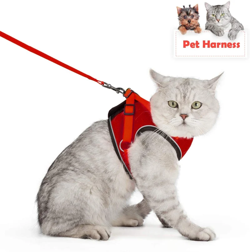 Arnés ajustable para mascotas, gato, gato, gato, gatito, arnés para caminar, chaleco de malla suave con tiras reflectantes, arnés para perros y gatos pequeños