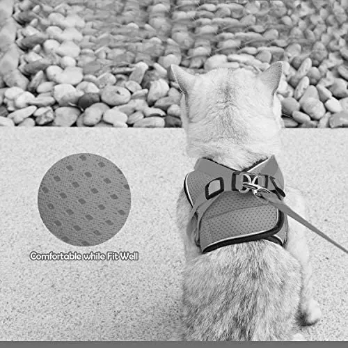 Arnés ajustable para mascotas, gato, gato, gato, gatito, arnés para caminar, chaleco de malla suave con tiras reflectantes, arnés para perros y gatos pequeños