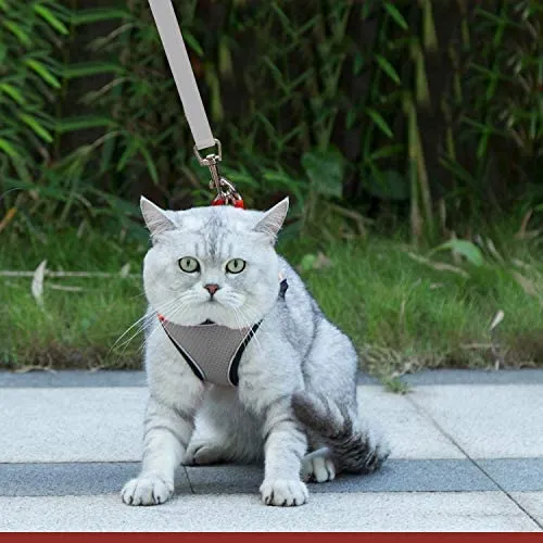 Arnés ajustable para mascotas, gato, gato, gato, gatito, arnés para caminar, chaleco de malla suave con tiras reflectantes, arnés para perros y gatos pequeños