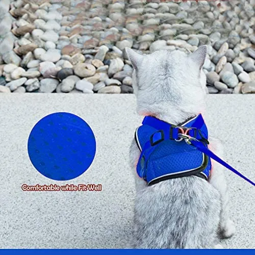 Arnés ajustable para mascotas, gato, gato, gato, gatito, arnés para caminar, chaleco de malla suave con tiras reflectantes, arnés para perros y gatos pequeños