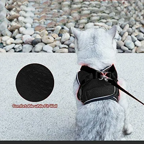 Arnés ajustable para mascotas, gato, gato, gato, gatito, arnés para caminar, chaleco de malla suave con tiras reflectantes, arnés para perros y gatos pequeños