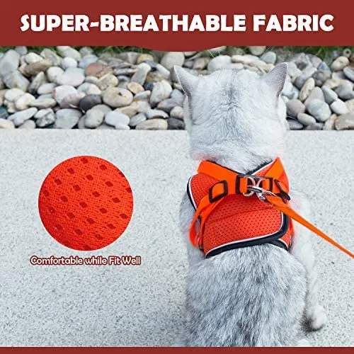 Arnés ajustable para mascotas, gato, gato, gato, gatito, arnés para caminar, chaleco de malla suave con tiras reflectantes, arnés para perros y gatos pequeños