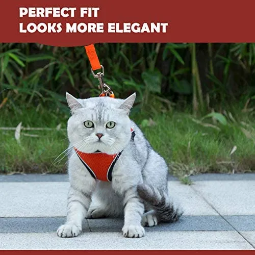 Arnés ajustable para mascotas, gato, gato, gato, gatito, arnés para caminar, chaleco de malla suave con tiras reflectantes, arnés para perros y gatos pequeños