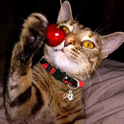 BoomBone 2 collares para gato con colgante seguro para gatitos con campana