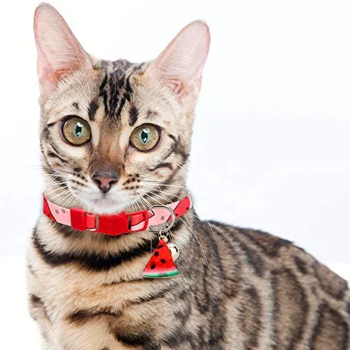 BoomBone 2 collares para gato con colgante seguro para gatitos con campana