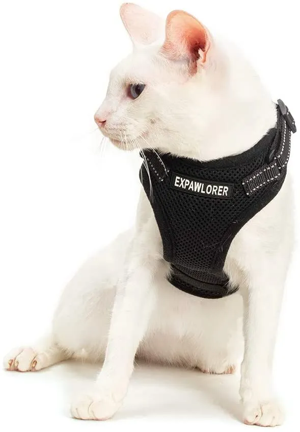 EXPAWLORER Arnés para gato a prueba de escape, ajustable, ligero, cómodo, transpirable, chaleco de malla con correa reflectante negra para gatos y cachorros adultos