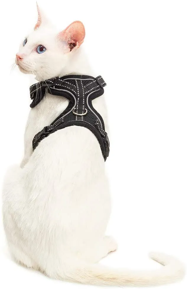 EXPAWLORER Arnés para gato a prueba de escape, ajustable, ligero, cómodo, transpirable, chaleco de malla con correa reflectante negra para gatos y cachorros adultos