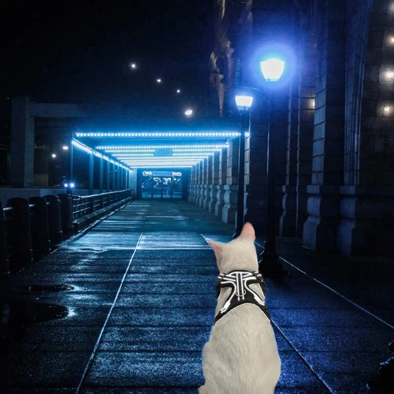 EXPAWLORER Arnés para gato a prueba de escape, ajustable, ligero, cómodo, transpirable, chaleco de malla con correa reflectante negra para gatos y cachorros adultos