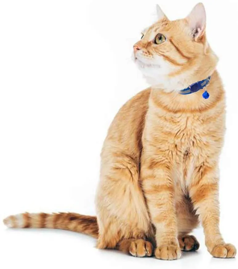 SCIROKKO - 6 collares reflectantes para gato con campana – diseño de hebilla de pescado ajustable y collar para gatito y cachorro