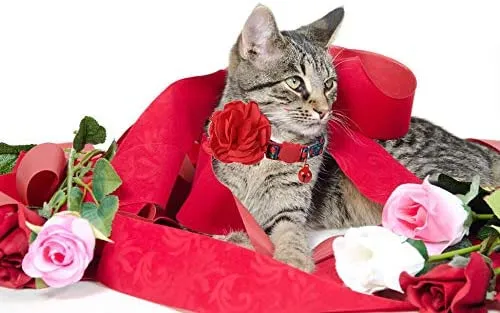 Boombone Collar de gato de flores, collares para perros y accesorios de San Valentín