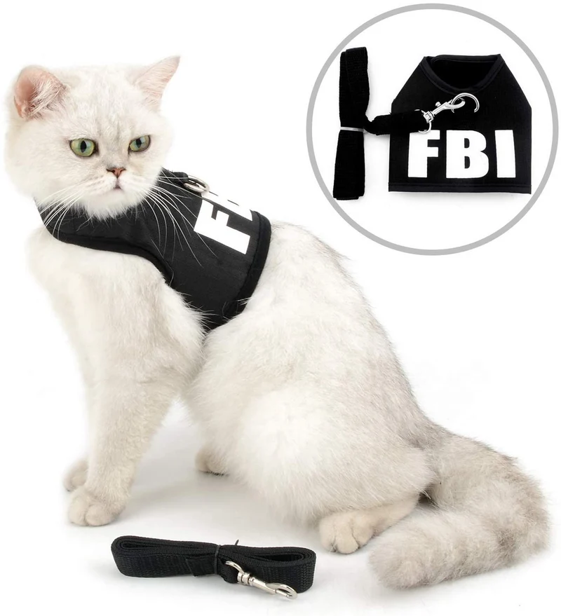 smalllee _ _ _ _ _ _ _ _ _ _ _ _ _ _ _ _ _ _ _ _ de la suerte Store Small Cat Arnés Policía/FBI chaleco chamarra, malla acolchada Walking Arnés Correa Set, fácil de poner y quitar.