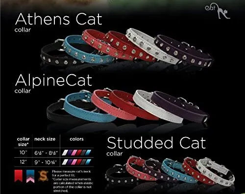 Collar de gato de liberación de seguridad de cuero genuino | acero inoxidable y hebilla ajustable | collar de gatito duradero | liberación elástica | disponible en varios colores y tamaños | Angel Pet Suministros