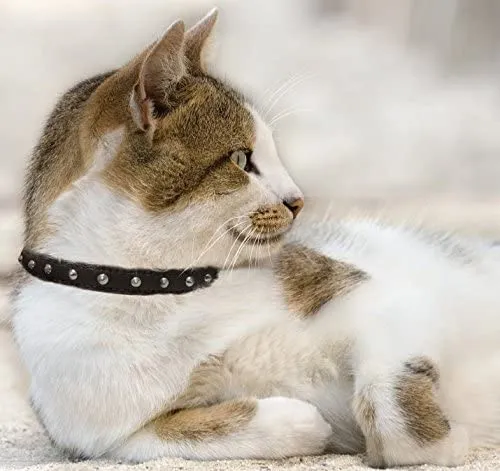 Collar de gato de liberación de seguridad de cuero genuino | acero inoxidable y hebilla ajustable | collar de gatito duradero | liberación elástica | disponible en varios colores y tamaños | Angel Pet Suministros