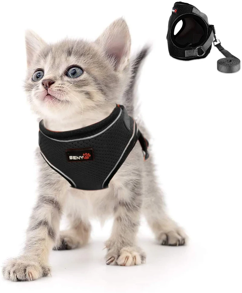 Kamots Beauty - Arnés y correa ajustables para perro y gato, malla suave con correa reflectante para pasear a mascotas pequeñas