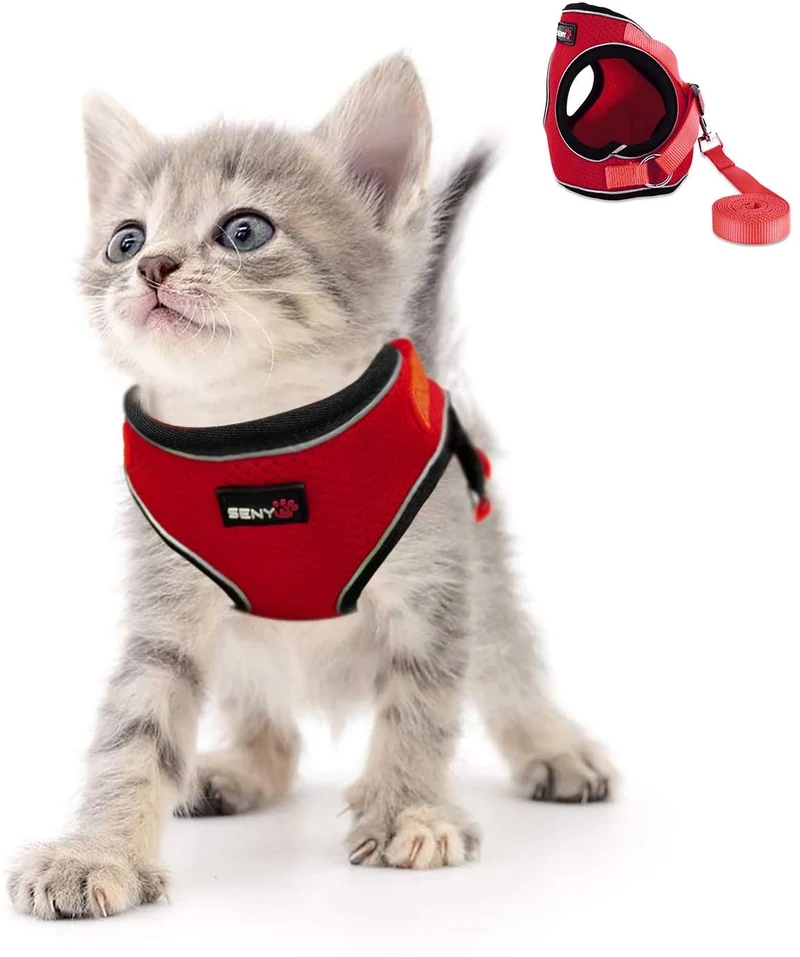 Kamots Beauty - Arnés y correa ajustables para perro y gato, malla suave con correa reflectante para pasear a mascotas pequeñas