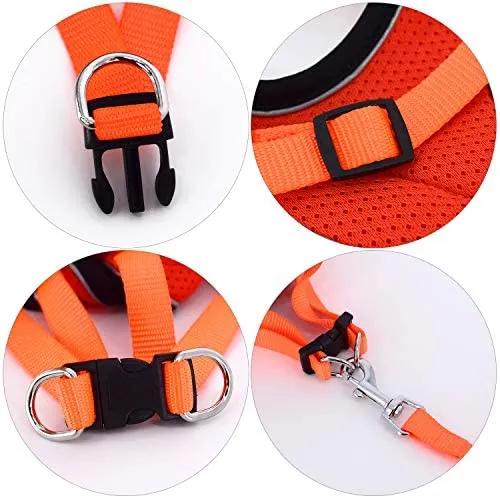 Kamots Beauty - Arnés y correa ajustables para perro y gato, malla suave con correa reflectante para pasear a mascotas pequeñas