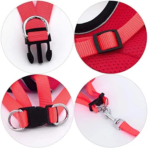 Kamots Beauty - Arnés y correa ajustables para perro y gato, malla suave con correa reflectante para pasear a mascotas pequeñas