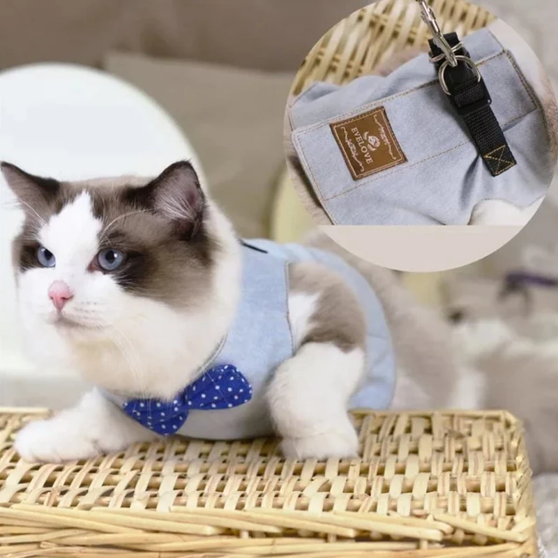 Stock Show - Chaleco arnés para gatos y perros con correa a juego con un bonito lazo, correa desmontable Reteo estilo británico arnés para cachorros medios, perros y gatos