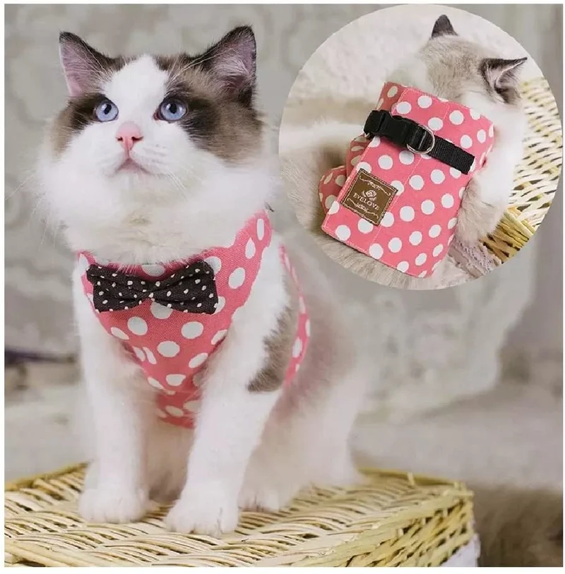 Stock Show - Chaleco arnés para gatos y perros con correa a juego con un bonito lazo, correa desmontable Reteo estilo británico arnés para cachorros medios, perros y gatos