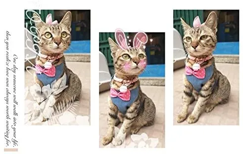 Stock Show - Chaleco arnés para gatos y perros con correa a juego con un bonito lazo, correa desmontable Reteo estilo británico arnés para cachorros medios, perros y gatos