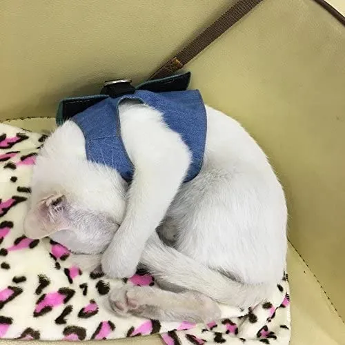 Stock Show - Chaleco arnés para gatos y perros con correa a juego con un bonito lazo, correa desmontable Reteo estilo británico arnés para cachorros medios, perros y gatos