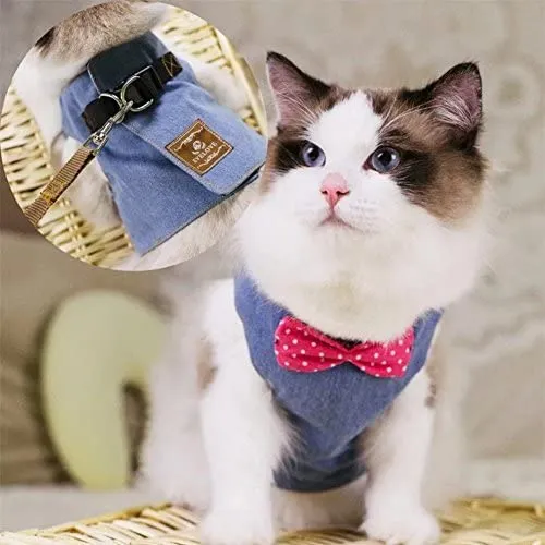 Stock Show - Chaleco arnés para gatos y perros con correa a juego con un bonito lazo, correa desmontable Reteo estilo británico arnés para cachorros medios, perros y gatos