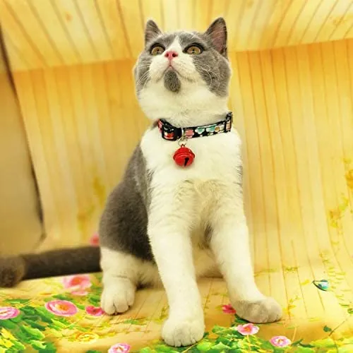 Thain - Collar para gato, diseño de pajarita