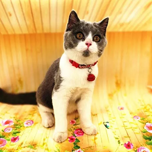 Thain - Collar para gato, diseño de pajarita
