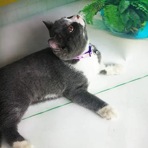 Thain - Collar para gato, diseño de pajarita