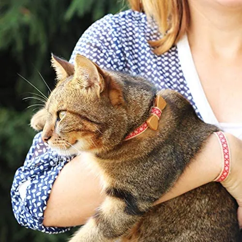 Collar en forma de corbata de lazo para la seguridad de gatos independientes, suave, ajustable y pulsera de la amistad para usted