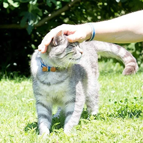Collar en forma de corbata de lazo para la seguridad de gatos independientes, suave, ajustable y pulsera de la amistad para usted