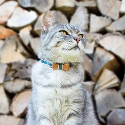 Collar en forma de corbata de lazo para la seguridad de gatos independientes, suave, ajustable y pulsera de la amistad para usted