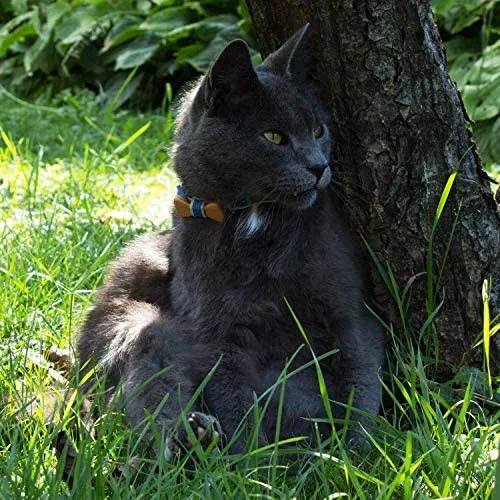 Collar en forma de corbata de lazo para la seguridad de gatos independientes, suave, ajustable y pulsera de la amistad para usted