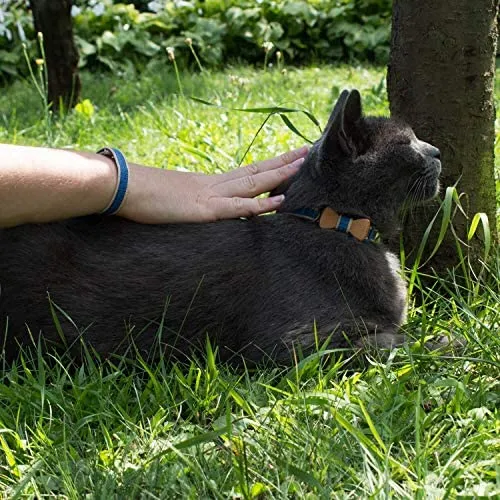 Collar en forma de corbata de lazo para la seguridad de gatos independientes, suave, ajustable y pulsera de la amistad para usted