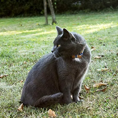 Collar en forma de corbata de lazo para la seguridad de gatos independientes, suave, ajustable y pulsera de la amistad para usted