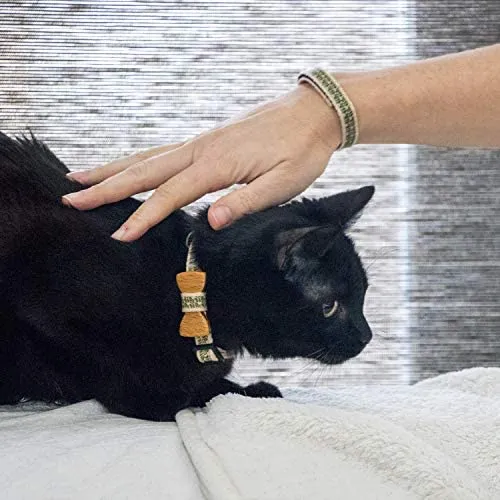Collar en forma de corbata de lazo para la seguridad de gatos independientes, suave, ajustable y pulsera de la amistad para usted