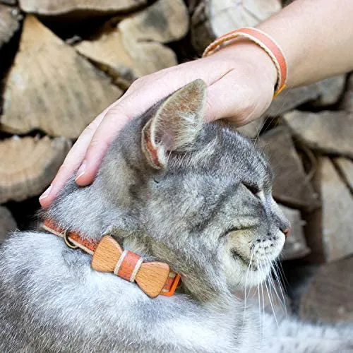 Collar en forma de corbata de lazo para la seguridad de gatos independientes, suave, ajustable y pulsera de la amistad para usted