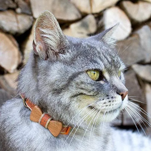 Collar en forma de corbata de lazo para la seguridad de gatos independientes, suave, ajustable y pulsera de la amistad para usted