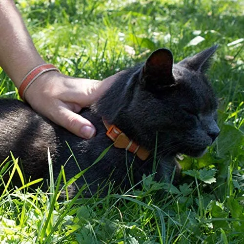 Collar en forma de corbata de lazo para la seguridad de gatos independientes, suave, ajustable y pulsera de la amistad para usted