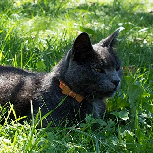 Collar en forma de corbata de lazo para la seguridad de gatos independientes, suave, ajustable y pulsera de la amistad para usted