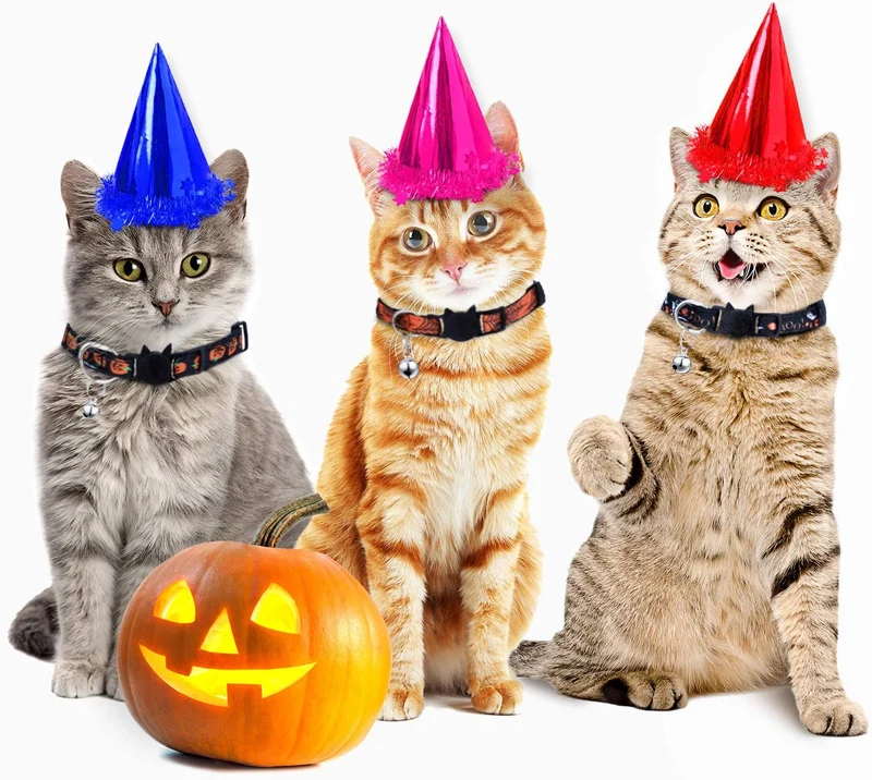 Frienda - 4 collares para gatos de Halloween, ajustables con campana, incluye patrones de calabaza fantasma para Halloween, fiestas, gatos, accesorios de aseo