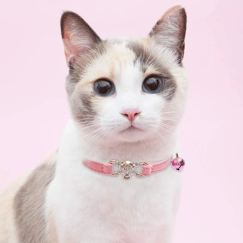 KOOLTAIL - Collar para gato con diseño de calavera con campana, 2 collares para mascotas con hebilla de seguridad, accesorio para gatos, gatitos, color negro y rosa