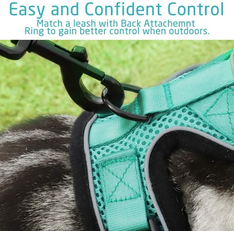 rabbitgoo Cat Harness and Leash Set for Walking, Escape Proof Adjustable Soft Vest for Large Cat Small Pets, Reflective Strip Metal Clip Ring Outdoor Cat Jacket Harness with 2 Long Cat Leashes