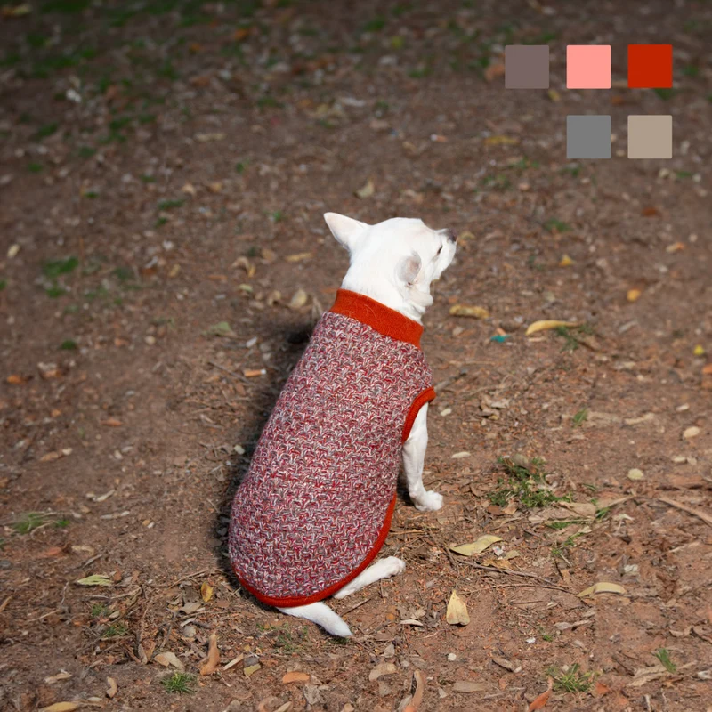 JERSEY PERROS PUNTO TRENZADO MI&DOG ESTAMPADO HERMES